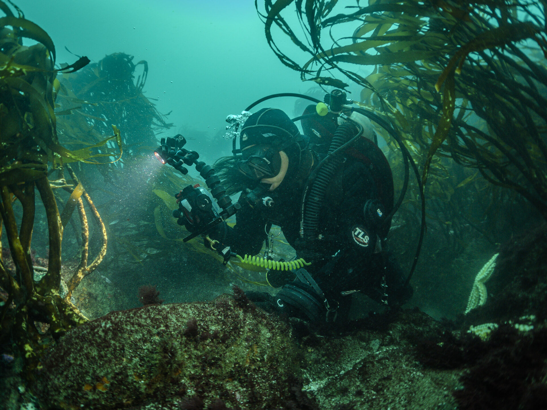 Exposición fotográfica recorrerá caletas de la regiónde Valparaíso para mostrar la vibrante biodiversidadde los Refugios Marinos
