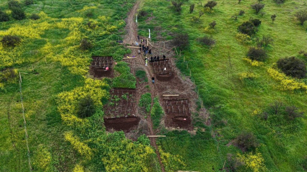Hito de inicio Plantación en cerros de Renca Municipalidad de Renca