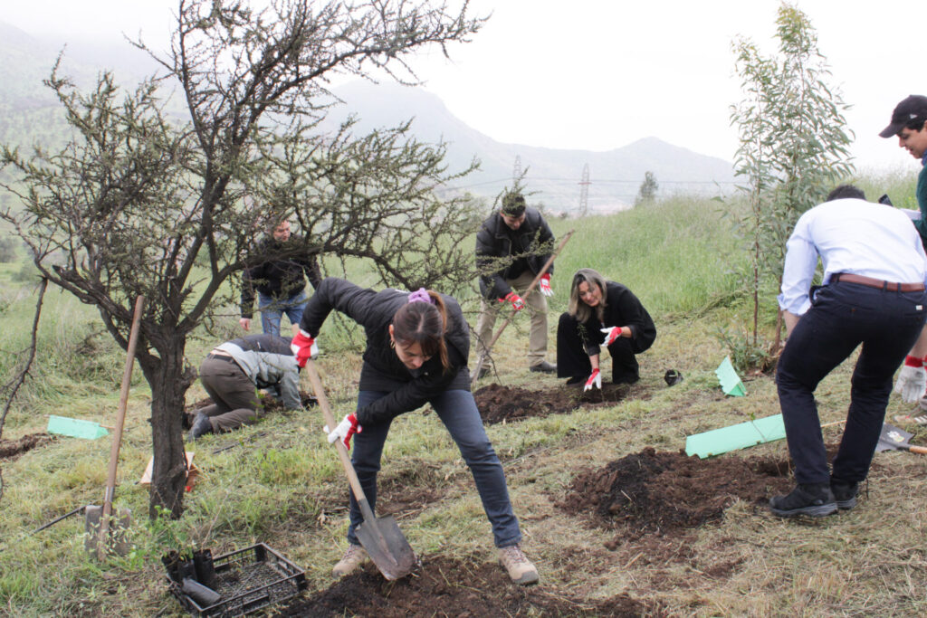 Hito de inicio Plantación Inmobiliaria La Montaña en cerros de Renca 