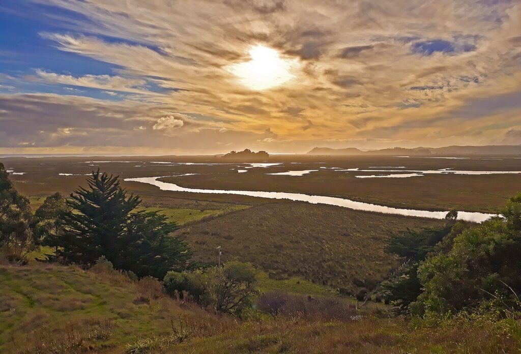 Dunas del Humedal Monkull
