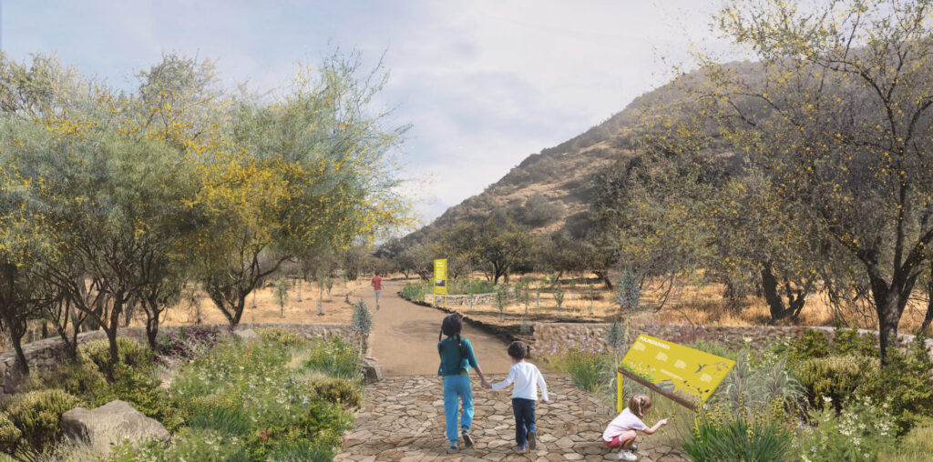 Imagen objetivo del medio núcleo