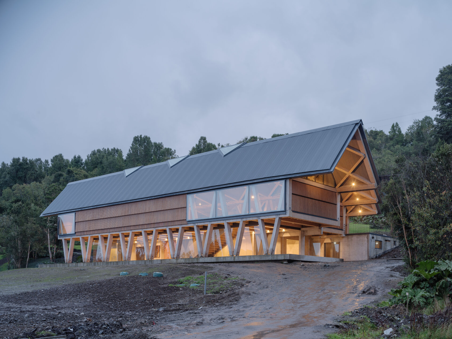 ¡Atención, Región de Los Lagos! Se inaugura inédito museo en Puerto Octay