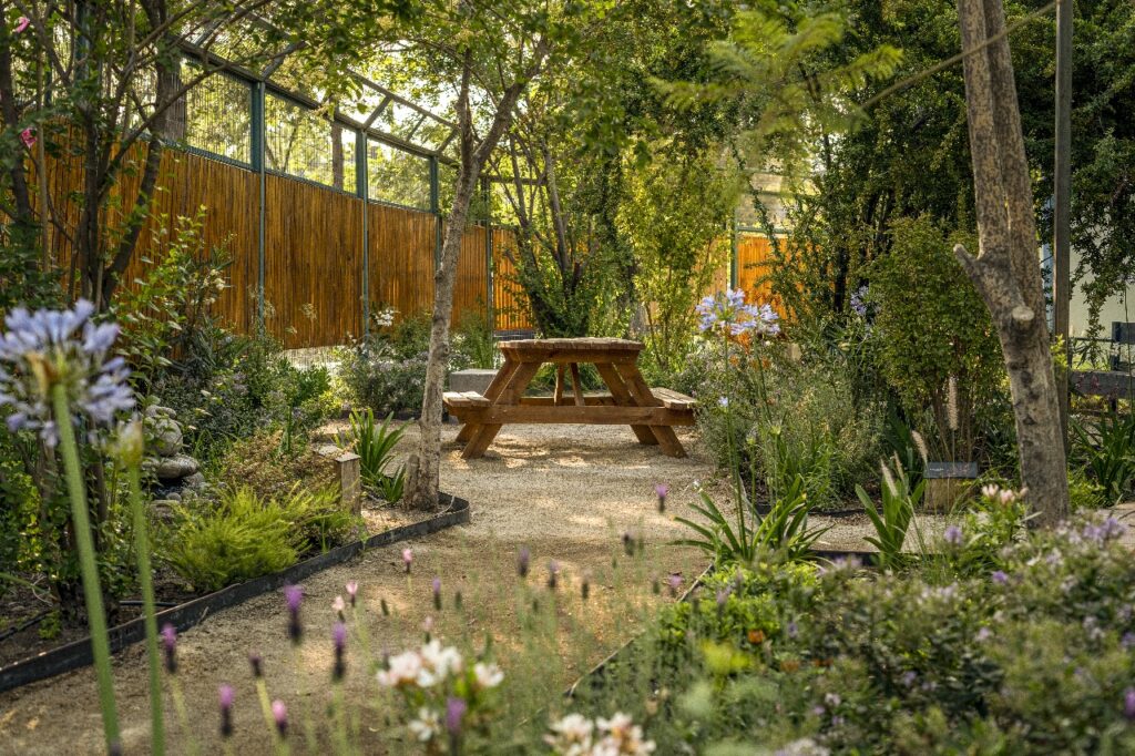 Jardines Sanadores. Créditos: Fundación Cosmos