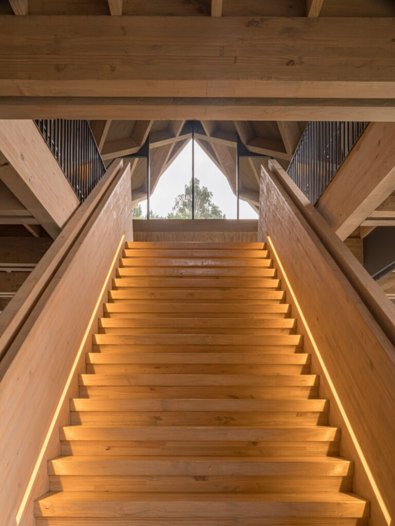 Escaleras del inédito Museo. Fotos enviadas por MUMO.