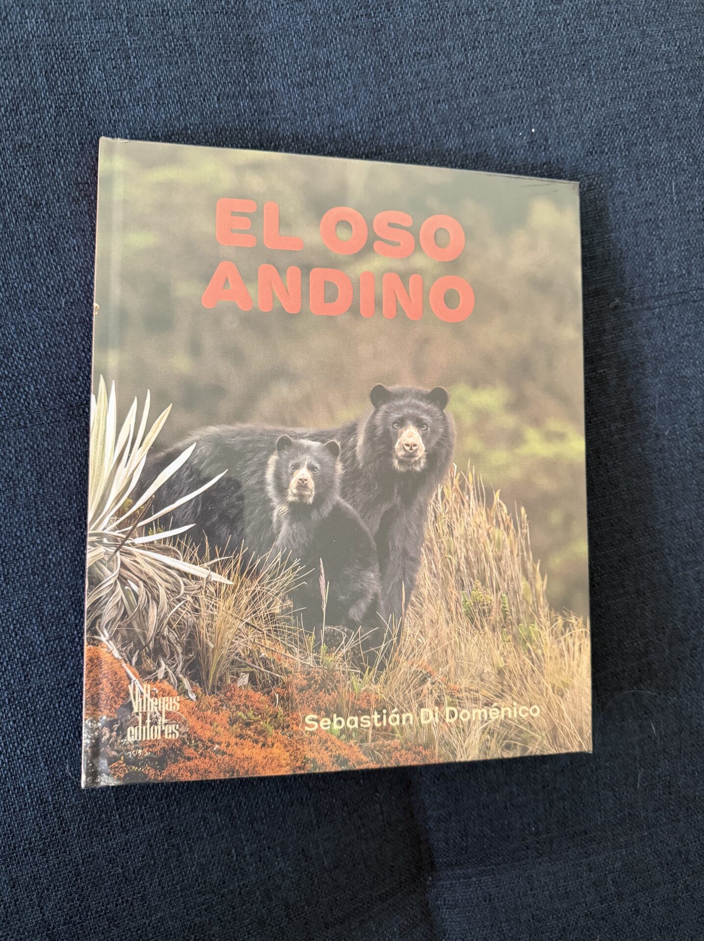 El Oso Andino, obra que reúne extraordinaria colección fotográfica de Sebastián Di Domenico