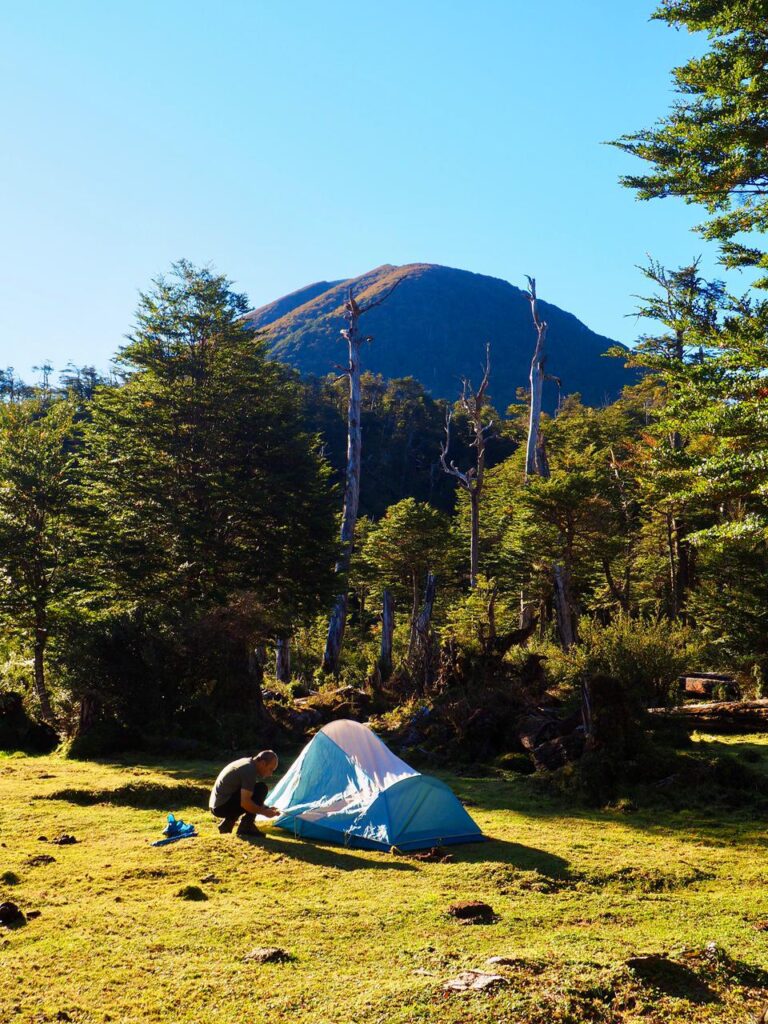Torres del avellano en otoño. Cortesía de Felipe Howard.