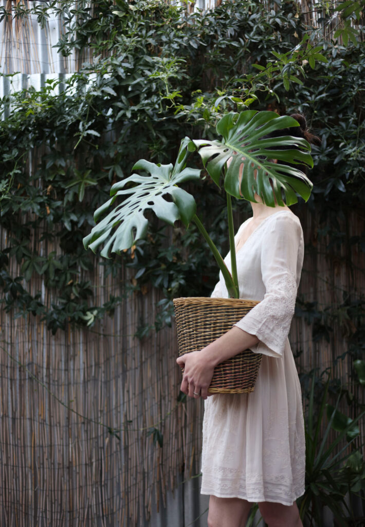 Ciencia del florecer. Foto incluida en el libro.