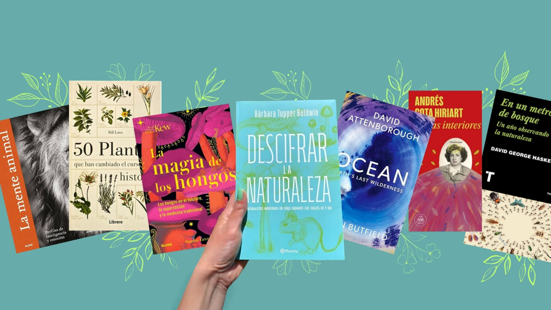 Mirar el mundo a través de la literatura: 10 libros de naturaleza para disfrutar estas vacaciones