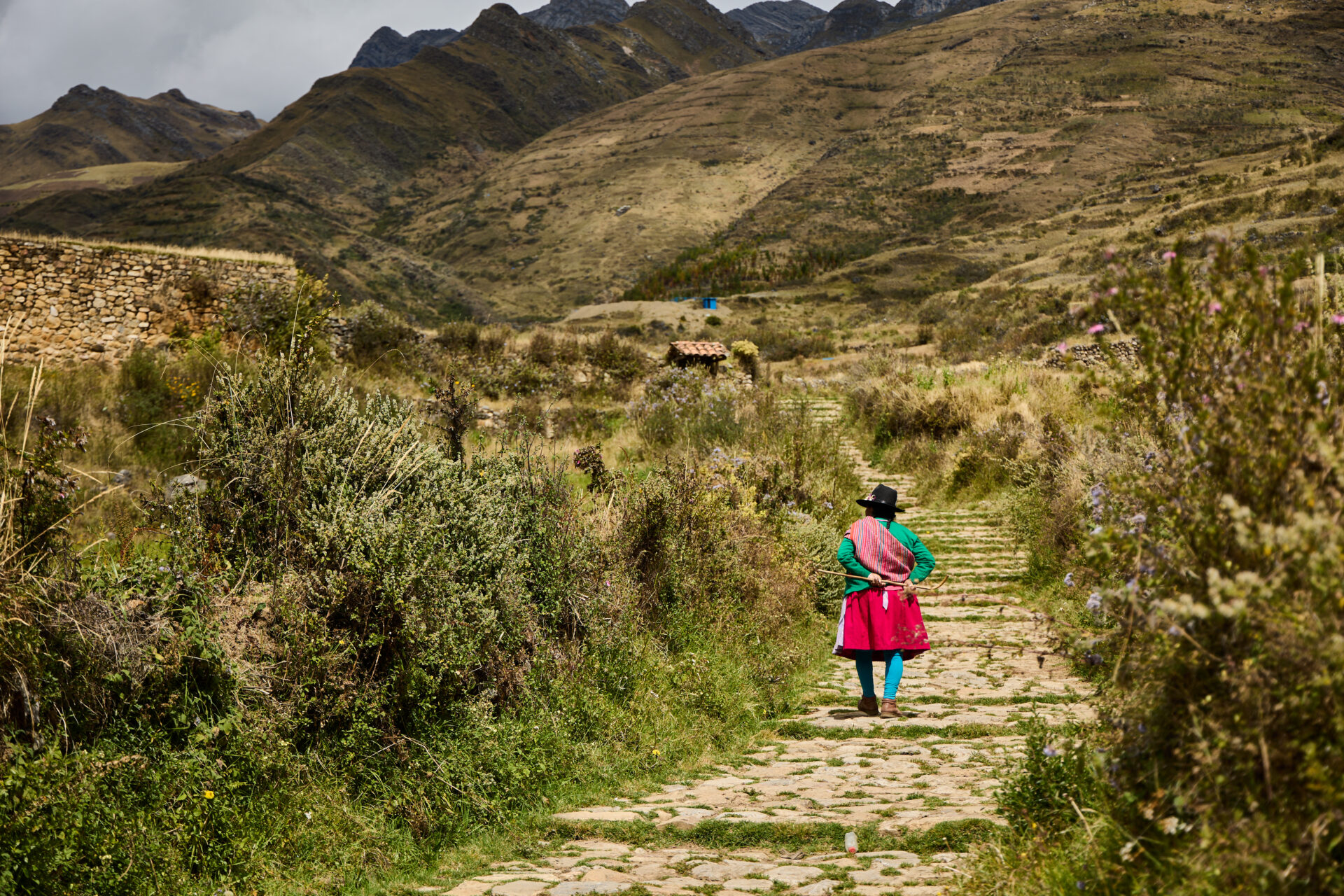 Caminos de memoria andina: Voces del Qhapaq Ñan ante la emergencia climática.