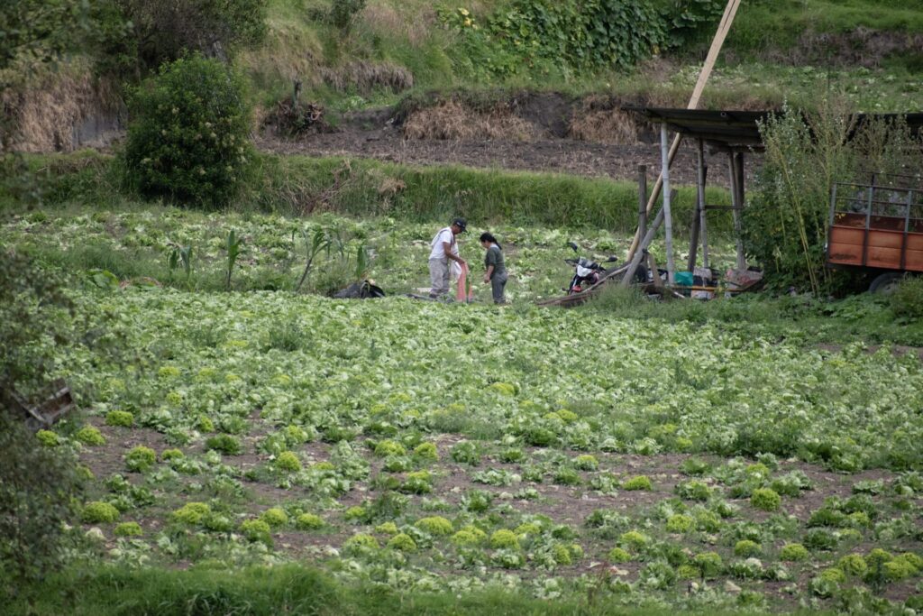 Qhapaq ñan, 16,6 kilómetros