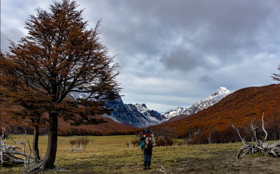 Mallín Grande. Carme Gloria Barrera y Cristian Orozco
Se aprecia el enorme y bello mallín Grande durante el comienzo del otono. Al fondo de la imagen se ve el mirador de las Torres del Avellano. Foto publicada en Andes Hand Book.