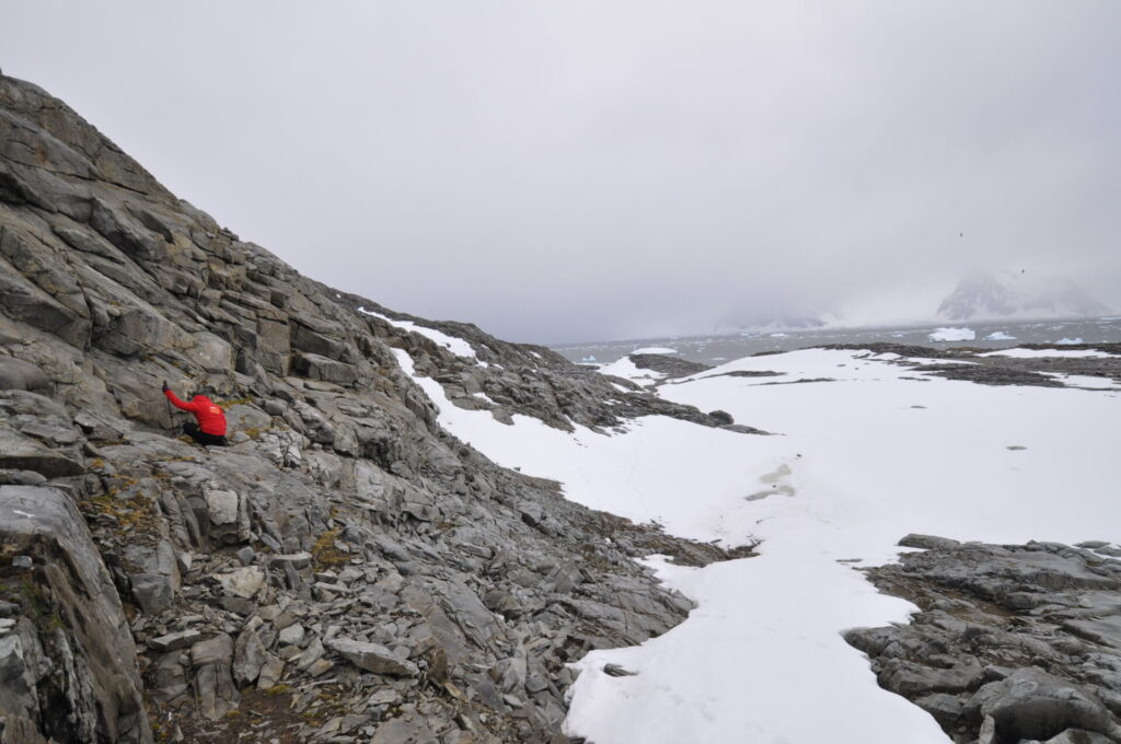 Sherplants en la montaña