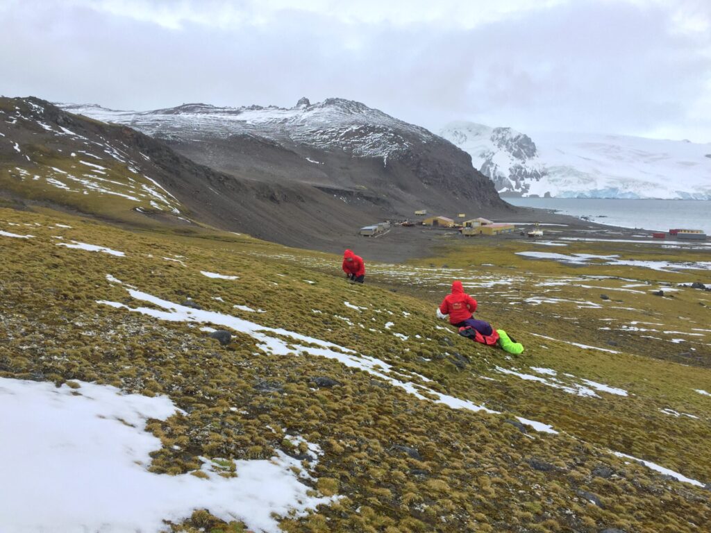 Sherplants en el Desierto de Atacama