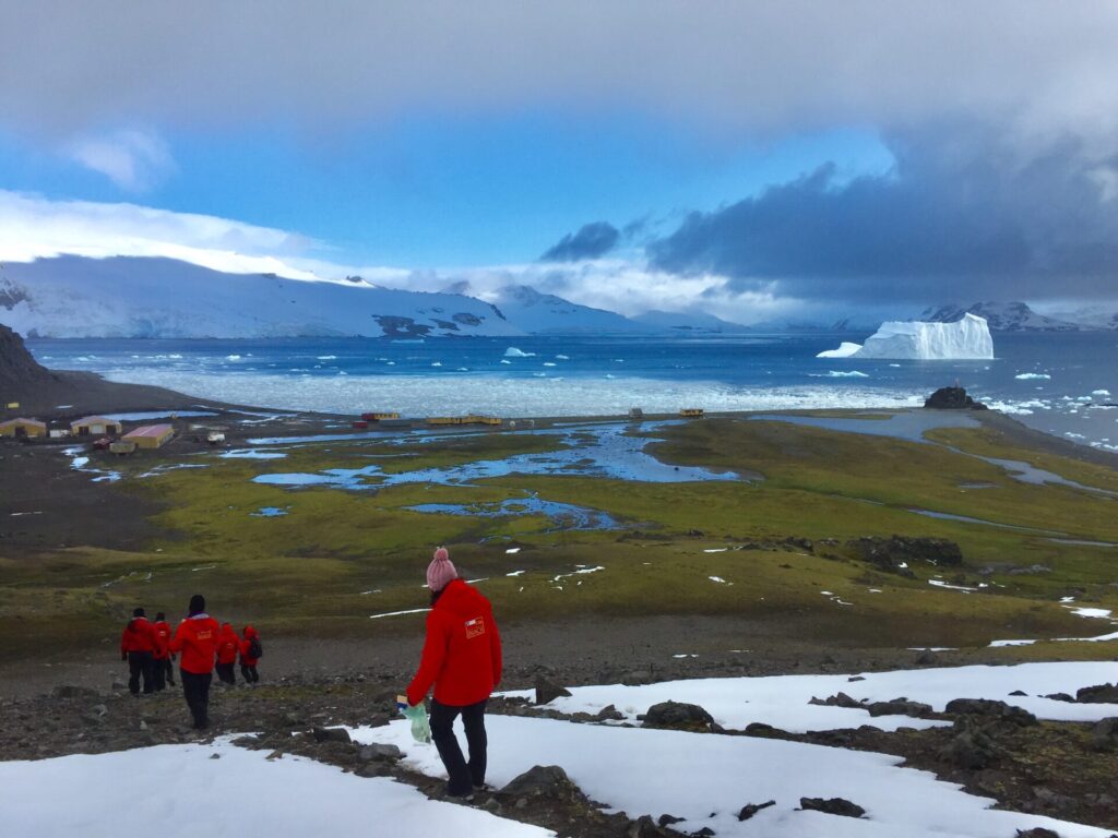 Sherplants en el Desierto de Atacama