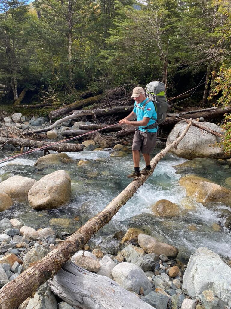Torres del avellano en otoño. Cortesía de Felipe Howard.