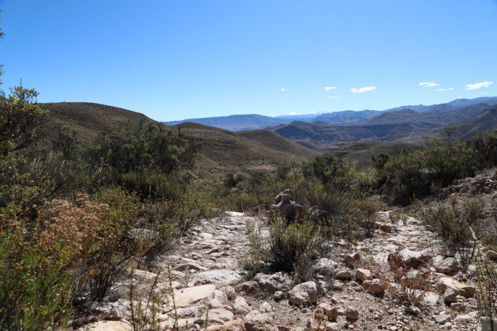 Un patrimonio bajo amenaza