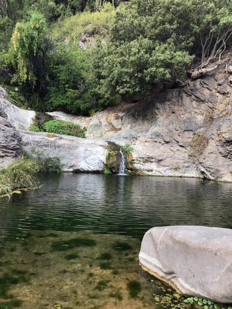 Valle de Chalinga. Créditos: Jorge Sebastián Hernández, fundador de la ONG Petroglifos del Choapa Chile (@petroglifoschoapa_conservacion).