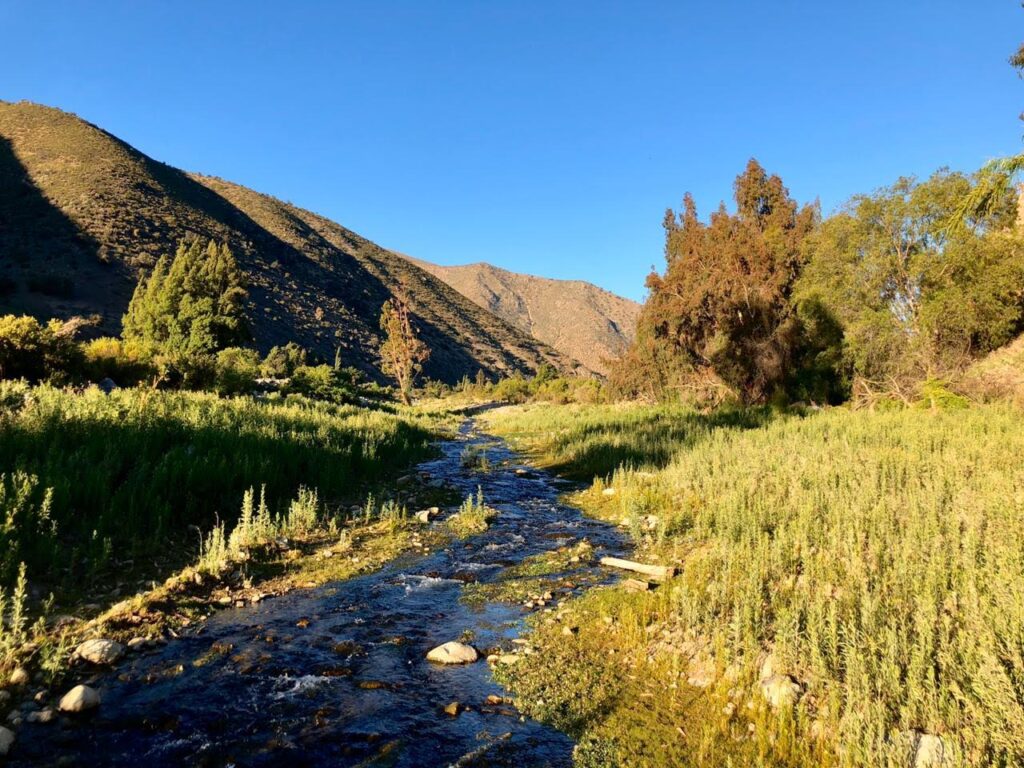 Valle de Chalinga. Créditos: Jorge Sebastián Hernández, fundador de la ONG Petroglifos del Choapa Chile (@petroglifoschoapa_conservacion).
