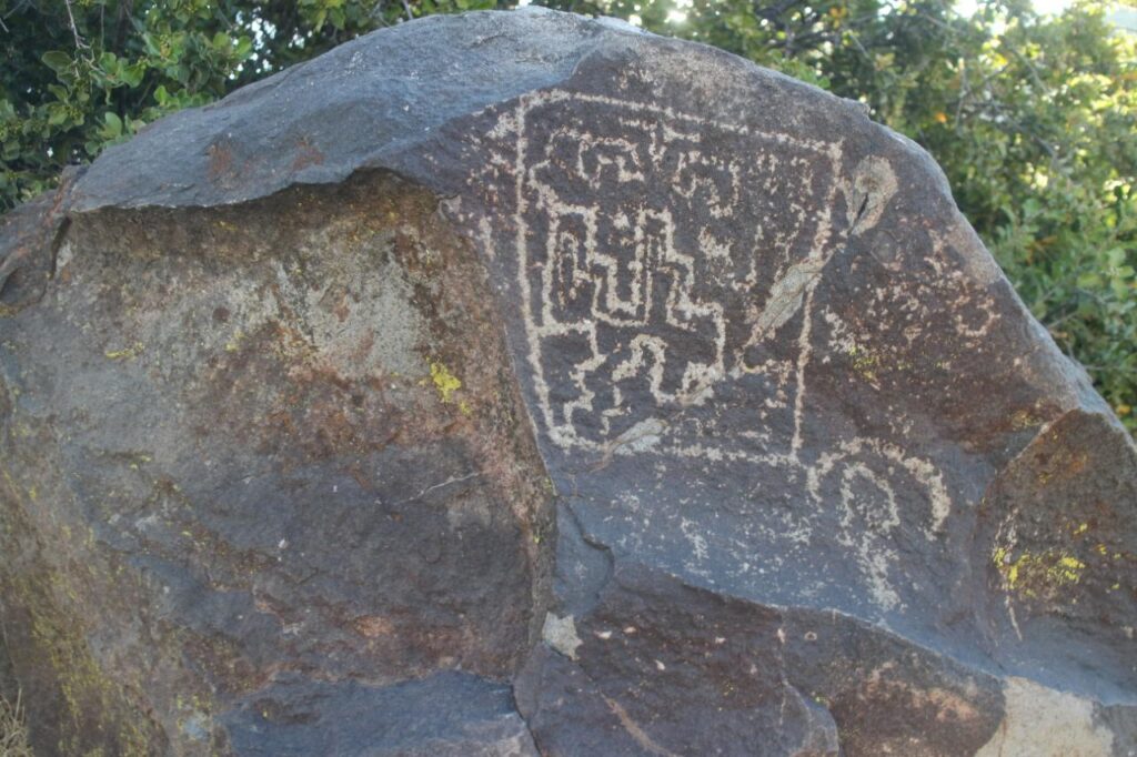 Arte rupestre en Valle de Chalinga. Créditos: Jorge Sebastián Hernández, fundador de la ONG Petroglifos del Choapa Chile (@petroglifoschoapa_conservacion).