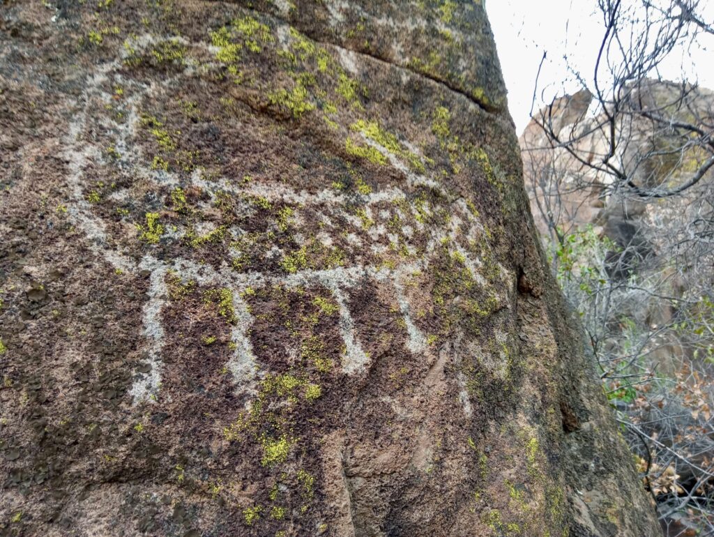 Arte rupestre en Valle de Chalinga. Créditos: Jorge Sebastián Hernández, fundador de la ONG Petroglifos del Choapa Chile (@petroglifoschoapa_conservacion).