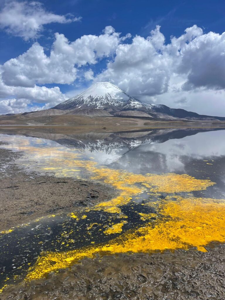 Lago Chungará contaminado con Aceite de Soja. Créditos: Nicolás Amaro.