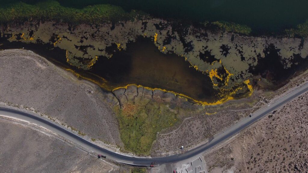 Lago Chungará contaminado con Aceite de Soja. Créditos: Nicolás Amaro.