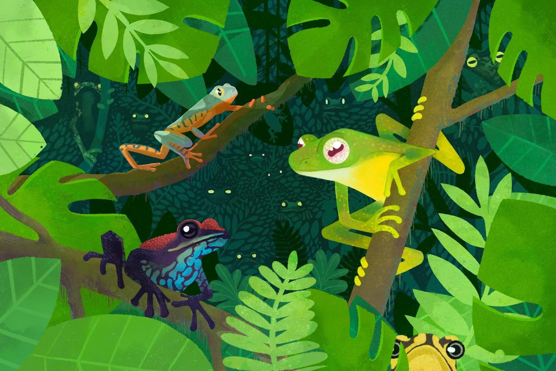 Ecuador, el ‘país de las ranas’, contabiliza su diversidad anfibia con el tiempo en contra