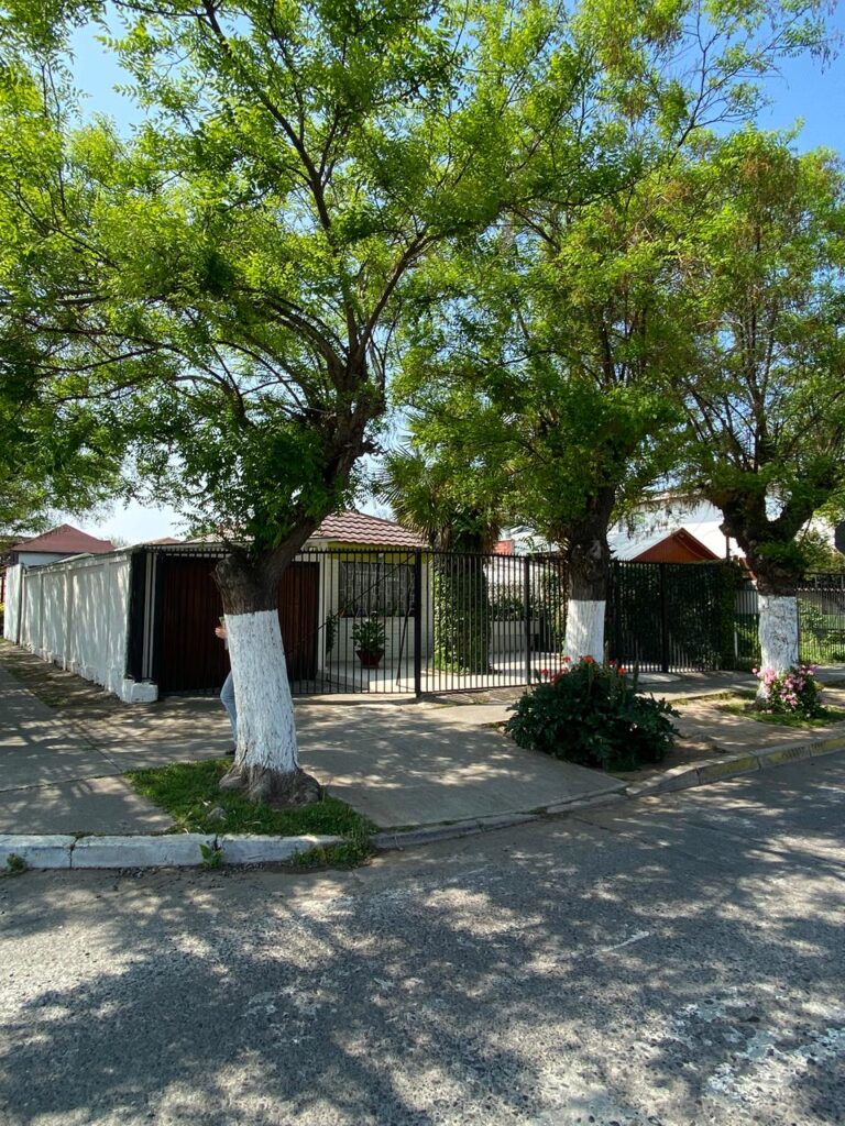 Vegetación de Cerrillos.