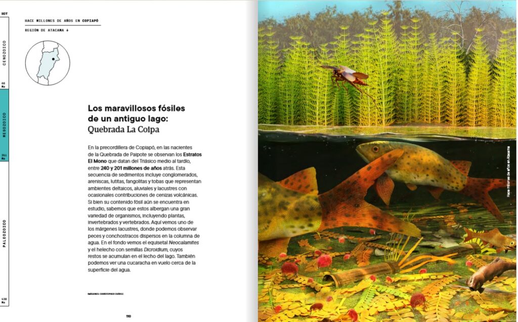 Ambiente histórico de Atacama