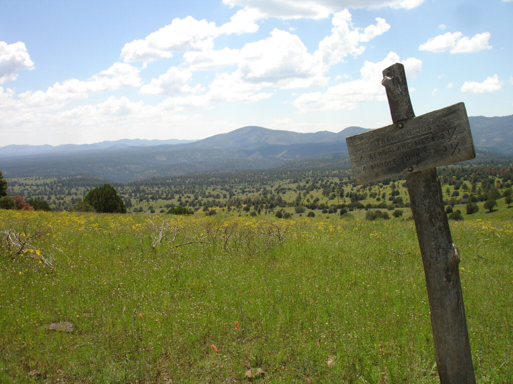 area-de-recuperacion-del-lobo-mexicano-en-nuevo-mexico