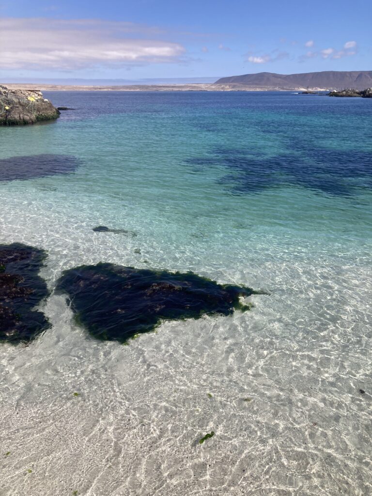 Bahía Inglesa, balneario de la costa del Desierto de Atacama en el norte de Chile, conocido por sus playas. Créditos (CC BY): Francisca Ibáñez (@maara_cl).