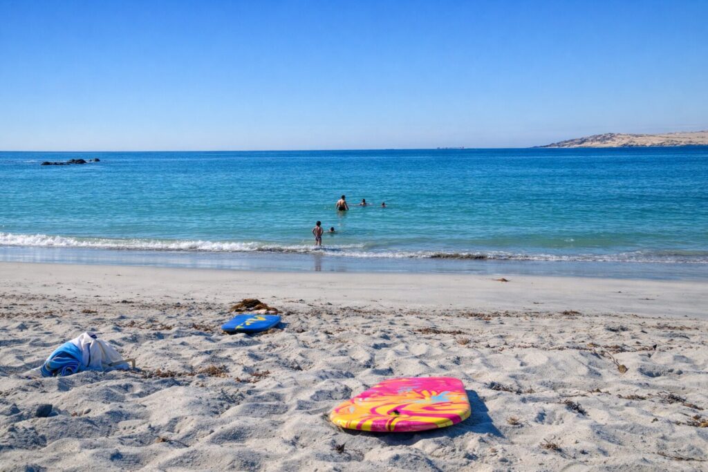 Bahía Salada. Créditos (CC BY): Jorge Veliz (Google Earth).