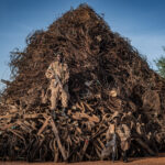 © Adam Oswell, Wildlife Photographer of the Year