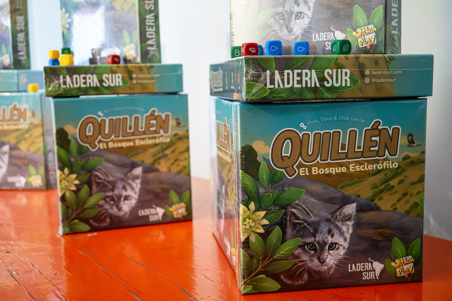 ¡Ya es oficial! Lanzamos «Quillén», el juego de mesa que invita a conocer y restaurar el bosque esclerófilo