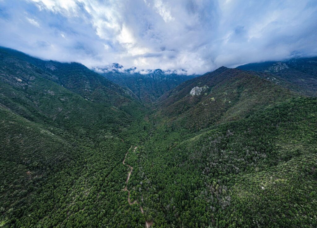 Santuario de la Naturaleza Cerro Poqui. Créditos: Más Verde. Cedida por Fundación Tierra Austral.