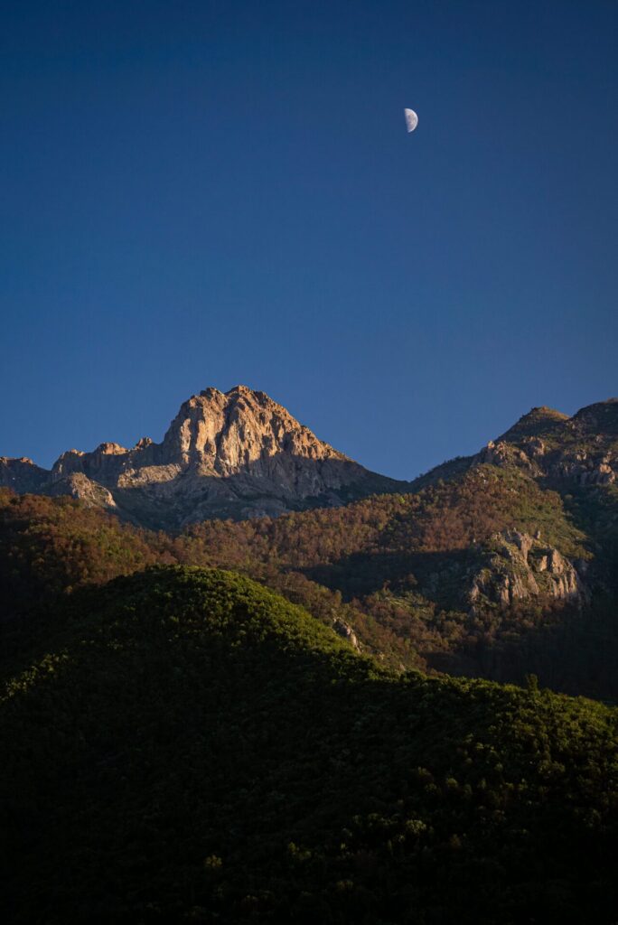 Santuario de la Naturaleza Cerro Poqui. Créditos: Más Verde. Cedida por Fundación Tierra Austral.