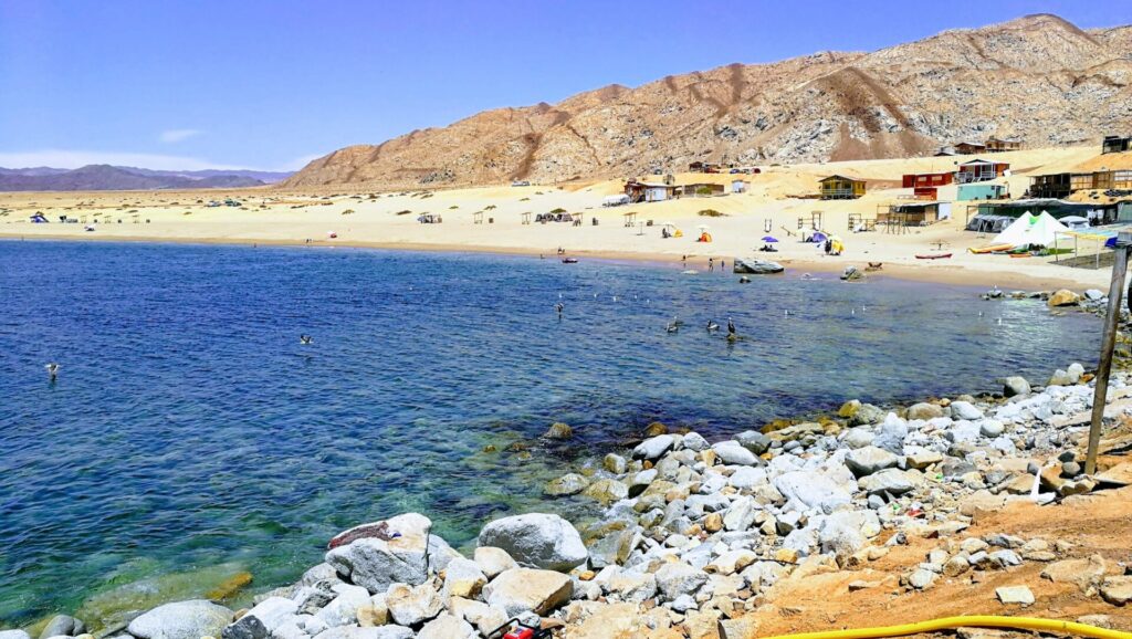 Caleta Cifuncho. Créditos (CC BY): Hernán Manuel Díaz Donoso (Google Earth).