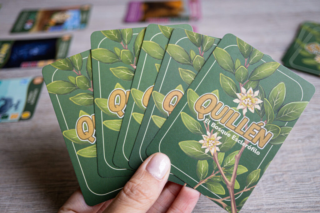 Diseños de las cartas de Quillén