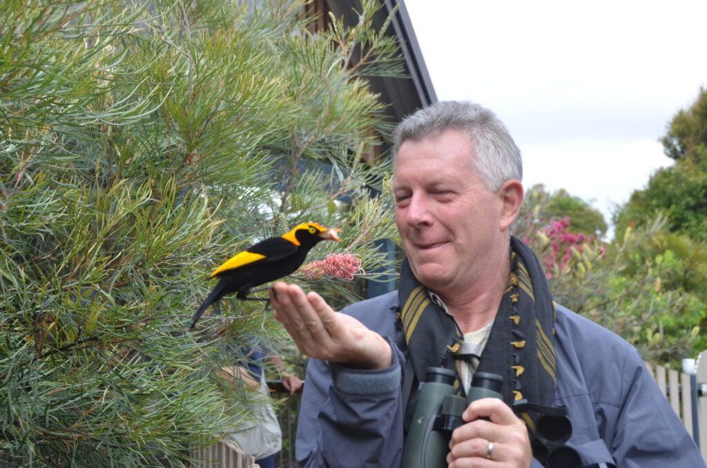Dr. Stephen Moss con un pergolero (Sericulus chrysocephalus ). Créditos (CC-BY): Penguin Random House.
