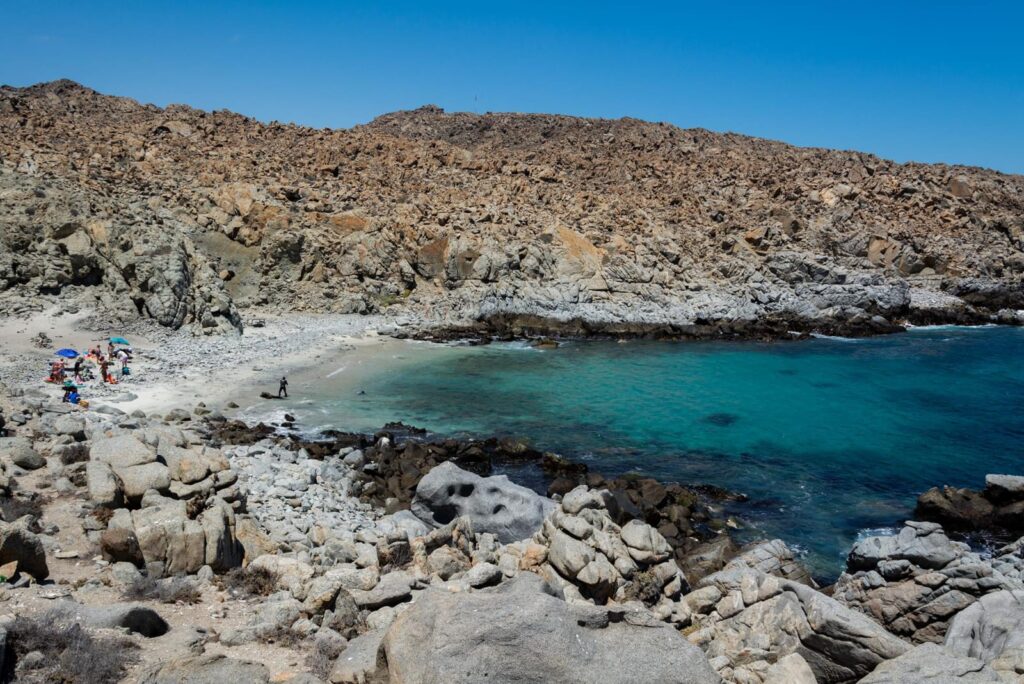 Playa El Morado. Créditos (CC BY): Mauricio Acuña E. (@mauricio_acuna_e).