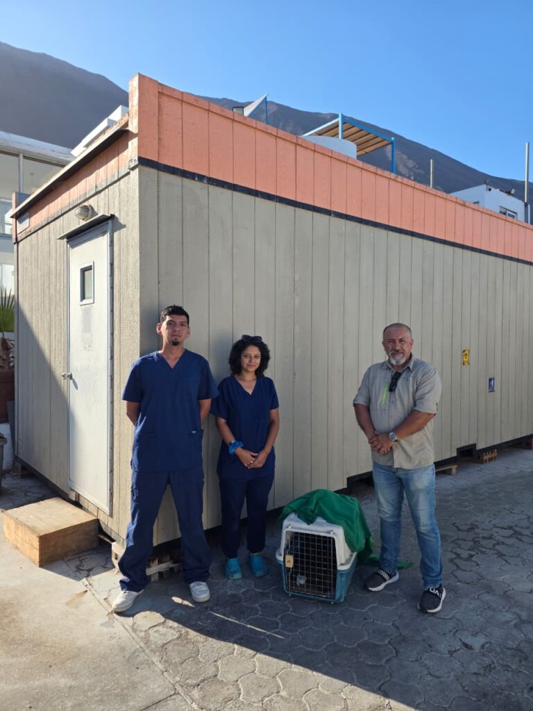 Entrega de la Tagua sana al Sag.