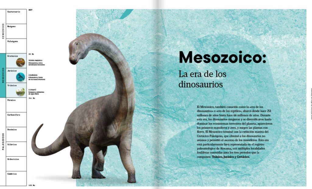 épocas de la historia del libro