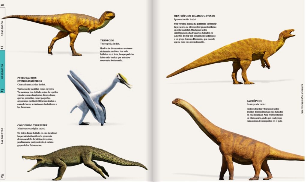 Especies terrestres en Atacama