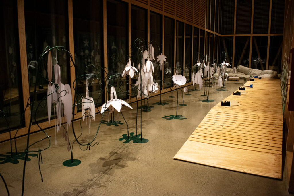 Exposición de las plantas mágicas