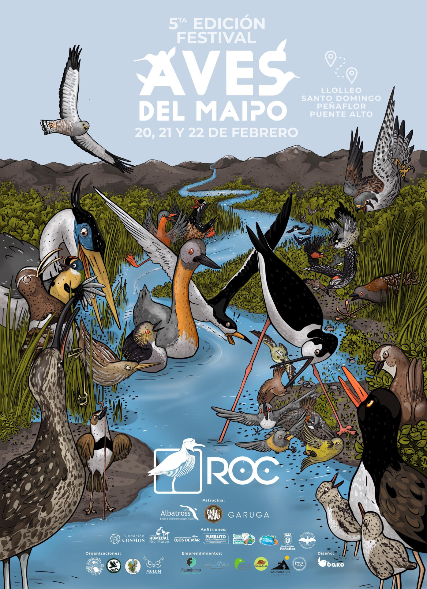 Festival de Aves del Maipo celebra su quinta versión con actividades gratuitas en la región Metropolitana y Valparaíso 