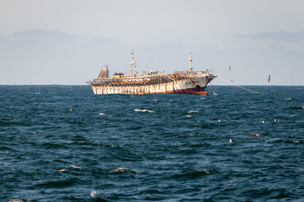 Sobrepesca de jibia en alta mar, liderada casi en su totalidad por flotas chinas de aguas distantes. Créditos (CC-BY): Environmental Justice Foundation (EJF).