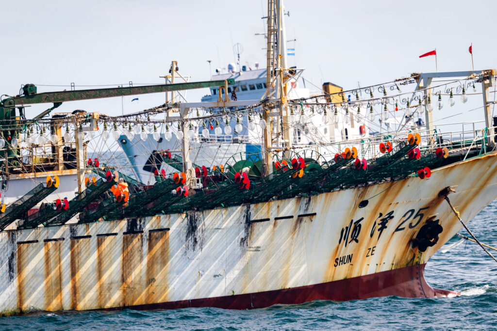 Sobrepesca de jibia en alta mar, liderada casi en su totalidad por flotas chinas de aguas distantes. Créditos (CC-BY): Environmental Justice Foundation (EJF).
