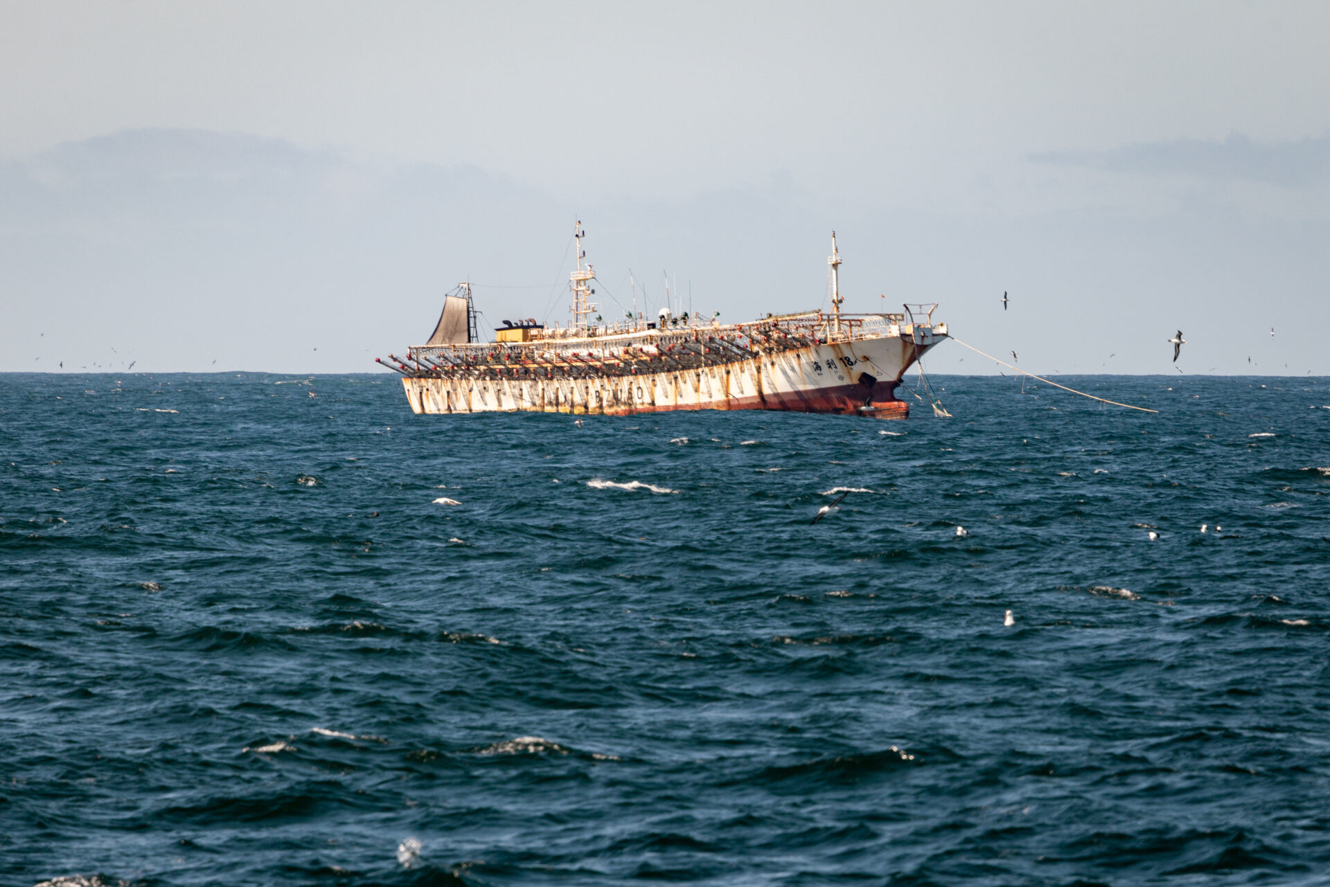 China en aguas del Pacífico: Informe revela desastre ambiental y humano, y efectos para pesca de la jibia en Chile