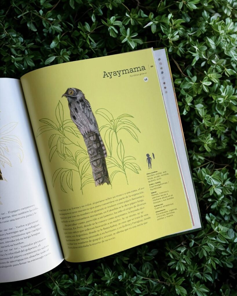 fotos libro y proceso creativo vida y costumbres en la amazonía