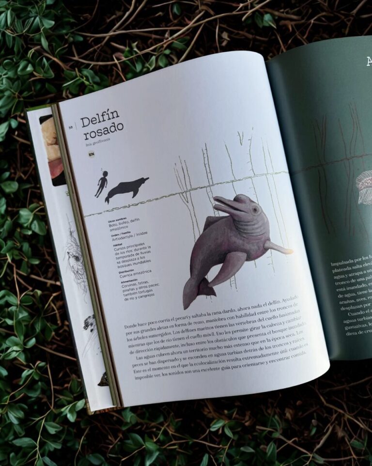 ¡Con más de 70 especies! Lanzan libro ilustrado que revela la ...